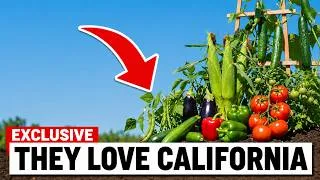 Thumbnail: 7 Crops You'll Regret NOT Planting in California This Summer