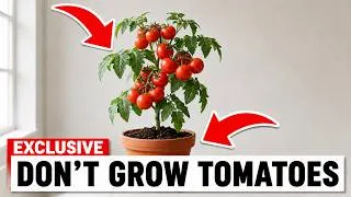 Thumbnail: 6 TOP Crops to Grow at Home to Save You From STARVING