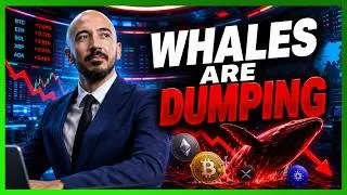 Thumbnail: One Token Ripped 33% Today, But Nick Won't Touch It