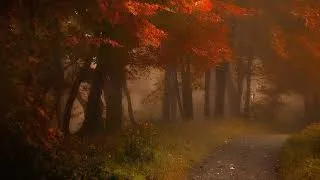 Thumbnail: romanticizing autumn