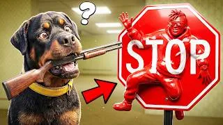 Thumbnail: 500IQ MECCHA CHAMELEON GAMEPLAY with CHOP & BOB