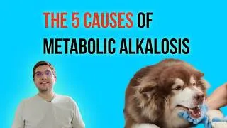 Thumbnail: Differential diagnoses for metabolic alkalosis in dogs and cats