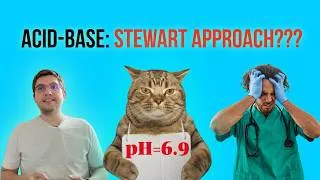 Thumbnail: Quantitative Acid-Base Analysis [Stewart Model] in Dogs and Cats