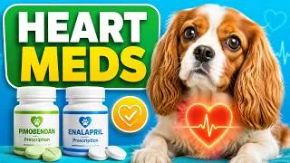 Thumbnail: How Heart Medications Protect Dogs
