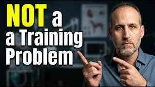Thumbnail: What Most People Get Wrong About Pet Behaviour
