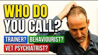 Thumbnail: Who Should You Call? Dog Trainer vs Behaviourist vs Vet Psychiatrist