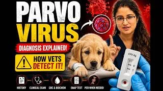 Thumbnail: Parvo in Puppies: How Vets Actually Diagnose It 🚨 | CBC, SNAP & PCR Explained