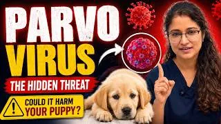 Thumbnail: ⚠️ Parvo Virus Explained: How It Spreads & The First Warning Signs