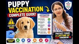 Thumbnail: Complete Puppy Vaccination Schedule | Protect Your Puppy from Deadly Diseases