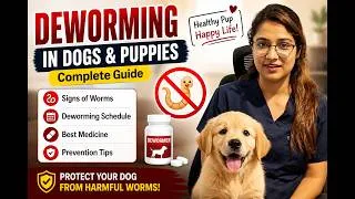 Thumbnail: Your Puppy May Have Worms Watch This First Puppy Deworming Explained When & How to Deworm Your Pup