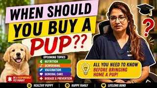 Thumbnail: Puppy Parenting Begins Here Best Age to Bring a Puppy Home Complete Pet Care Series