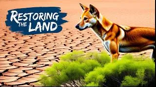 Thumbnail: Can Dingoes Save Australia's Desert? The Rewilding Gamble