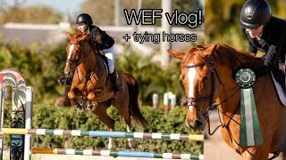 Thumbnail: WEF #5 horse show vlog! Placing 6th in the classic + trying horses! 🐴 