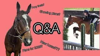 Thumbnail: Equestrian Q&A!!! Vlogmas day 13/24 🎄❄️☃️