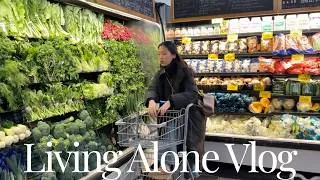 Thumbnail: Living Alone Vlog | first time at pilates, winter central park, home made meals, exciting news !! 