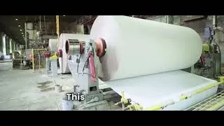 Thumbnail: From Tree to Paper 🌳✍️ Amazing Facts You Didn’t Know!