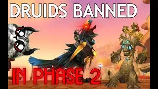 Thumbnail: DRUIDS ARE GETTING BANNED IN PHASE 2 WOW TBC #shorts