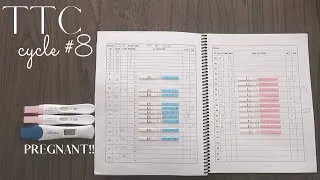 Thumbnail: TTC BABY #2 - CYCLE #8 (ovulation + pregnancy tests) POSITIVE CYCLE!!