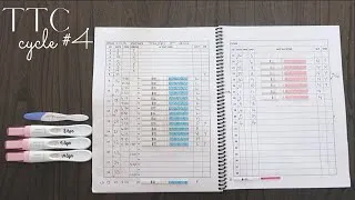 Thumbnail: TTC BABY #2 - CYCLE #4 (ovulation + pregnancy tests)