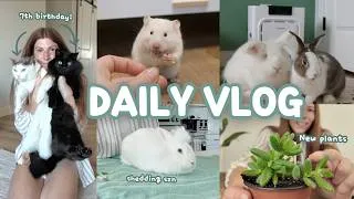 Thumbnail: A Slow Day with my Pets 🌿🐹