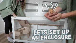 Thumbnail: Setting up A New Hamster Cage 🐹