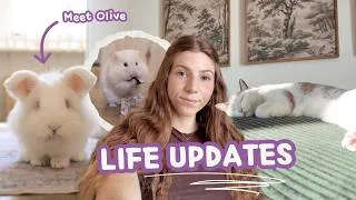 Thumbnail: A Much Needed Life Update + Meet Olive 🐰