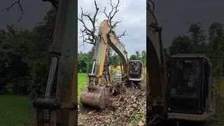 Thumbnail: Powerful excavator is digging up a large tree stump