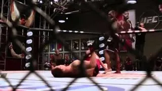 Thumbnail: MMA Spinning High Kicks  [Insta Knockout]