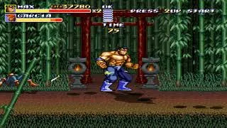 Thumbnail: Celestin X's Survival Mod (Streets of Rage Remake (v5.1) Mod) (PC) (Max) Bamboo Gardens Walkthrough