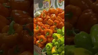 Thumbnail: Grandmas cooking kitchen BTS #fyp #grandma #guyanese #🇬🇾 #🇬🇾🇧🇸🇦🇬🇹🇹🇱🇨🇨🇼🇯🇲🇸🇷🇦🇩🇧🇧