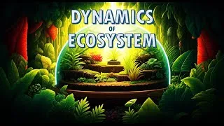 Thumbnail: dynamics of ecosystem part 1   environmental biology   bsc 1st year   Explained in malayalam   Made