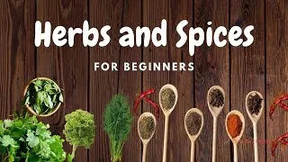 Thumbnail: Herbs and Spices for Beginners | How to use Herbs and Spices | Vil and Zoe's Galley