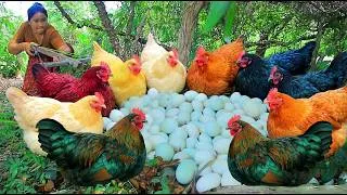 Thumbnail: Women Hunting Chicken egg in forest - Cooking Chicken egg for dog  Eating delicious 4k