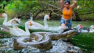 Thumbnail: Women Catch Snake and Duck at river - Cooking soup Snake and Duck for dog  Eating delicious 4k
