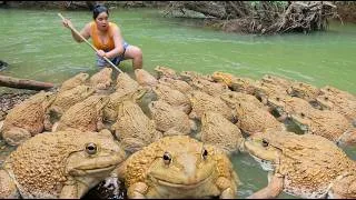 Thumbnail: Women hunting Frog egg and Snail at river - Fried Frog egg and Snail for dog  Eating delicious 4k