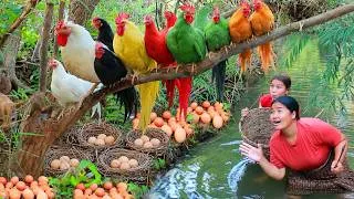 Thumbnail: Women hunting Chicken egg and Fish at river - Cooking Chicken egg for dog  Eating delicious 4k