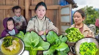 Thumbnail: Bok Choy "Chinese sag" recipe in Nepai village kitchen || Green vegetable recipe cooking and eating