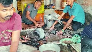 Thumbnail: Grandmother fish fry special