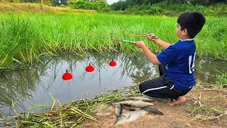 Thumbnail: Fishing video || Nice to see the smart boy fishing in the forest spot using three fishing rod's