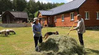 Thumbnail: Life in the Village brings joy🏡Happiness is in simple things🐑🐓🐥🐕‍🦺