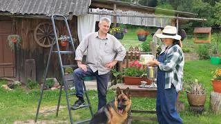 Thumbnail: Everyday Life of a Married Couple in the Village: A Barrel, a Greenhouse, and Traditional Soup