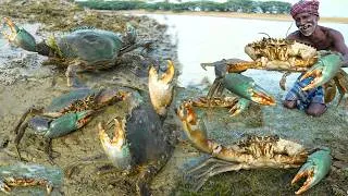 Thumbnail: MONSTER MUD CRABS | முரட்டு களி நண்டு | Mud Crabs Soup | Village Healthy Food| Grandpa One Man Show