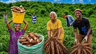 Thumbnail: 🌿 Huge Cassava Harvest & Traditional Cooking | African Mom's Farm-to-Table Village Life