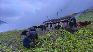 Thumbnail: Real Himalayan Village Life During a Rainy Day | Peaceful & Relaxing Traditional Cooking