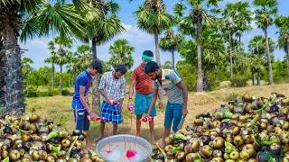Thumbnail: FRESH ICE APPLE SHARBAT Making in Our Village | Palmyra Fruit Drink | Traditional Village Food 🥤😋