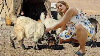 Thumbnail: Cooking Kofta Meatballs on the Fireplace & Baking Bread in the Nomadic Tent