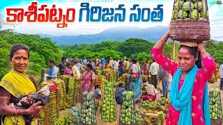 Thumbnail: kasipatnam tribal market || kasipatnam santha 