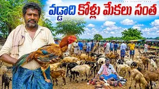 Thumbnail: vaddadi weekly market || vaddadi santha