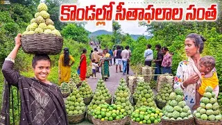 Thumbnail: vantlamamidi custard apple tribal market || vantlamamidi sitafalala santha 