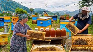 Thumbnail: The First Honey Harvest of the Year | Traditional Honey Cake Recipe in the Village